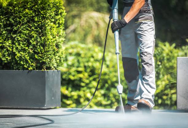 Best Roof Washing  in East Rutherford, NJ
